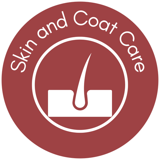 Skin and Coat Care Blog Picture