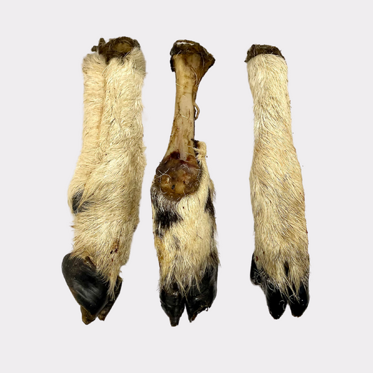 Lamb Feet/Legs (Hairy)